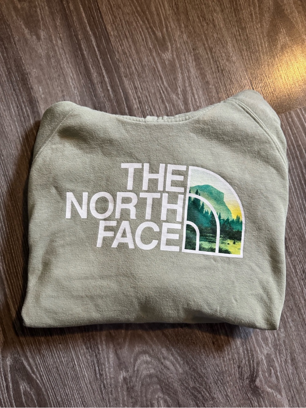 Women’s North Face Hoodie⛰️🍃
